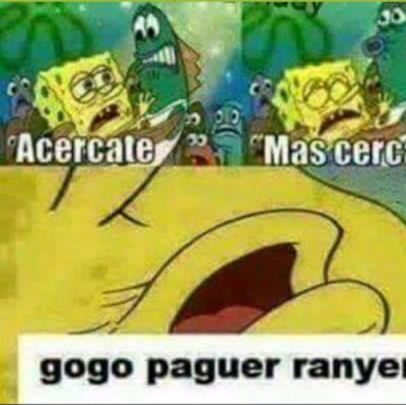 Meet your Posher, Luis - Picture 1 of 1